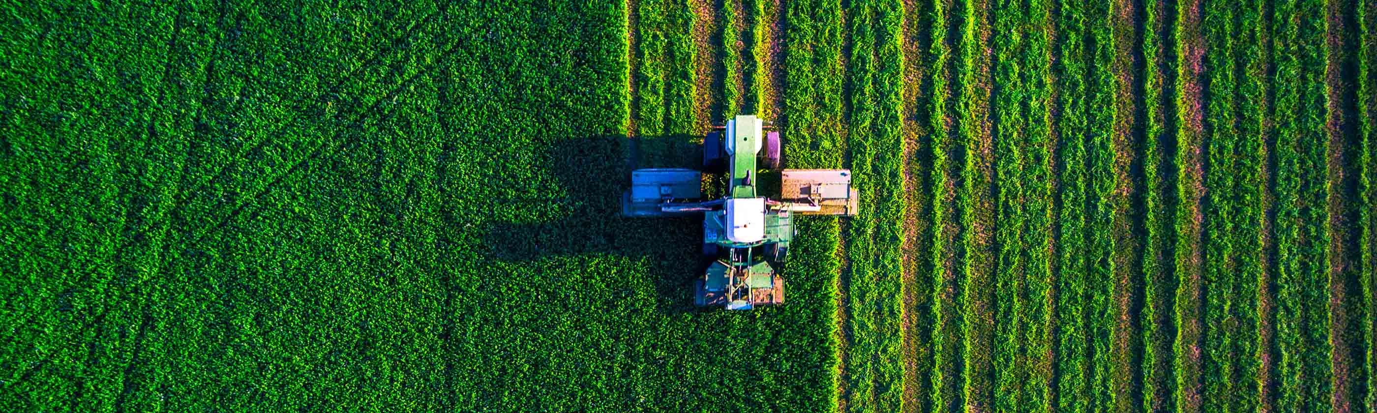 Agriculture