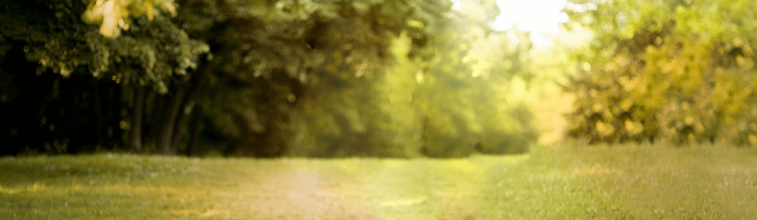 A young man and a girl in sportswear run in the park.