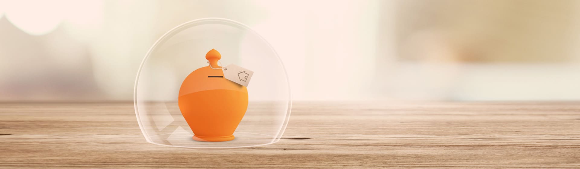 Loan repayment insurance
