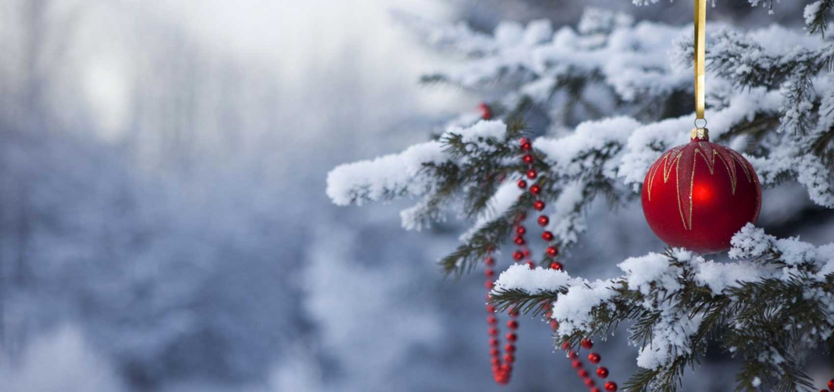 Celebrate Christmas & New Year's in Park City Image