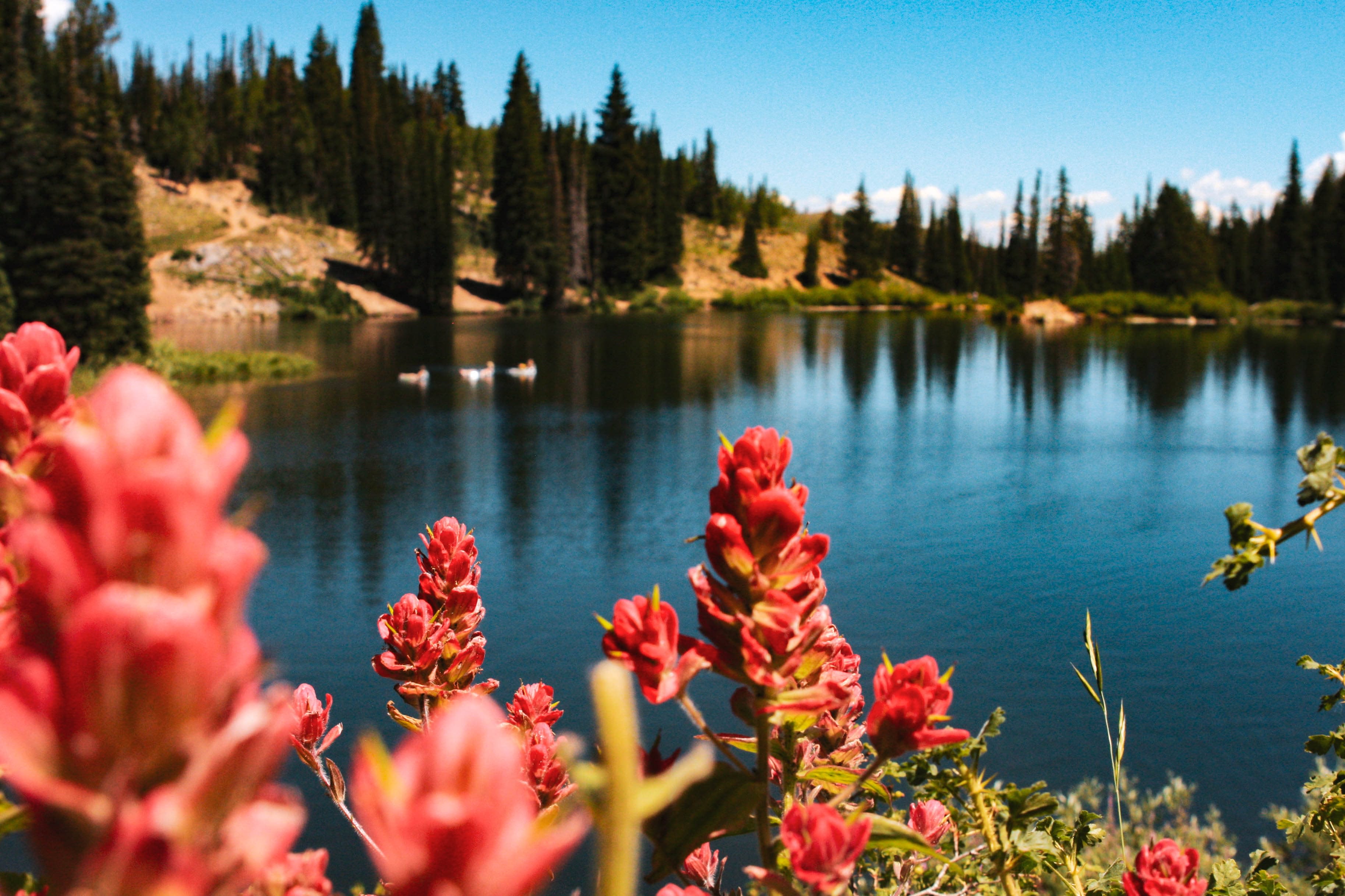 The Hottest Park City Activities to do this Summer Image