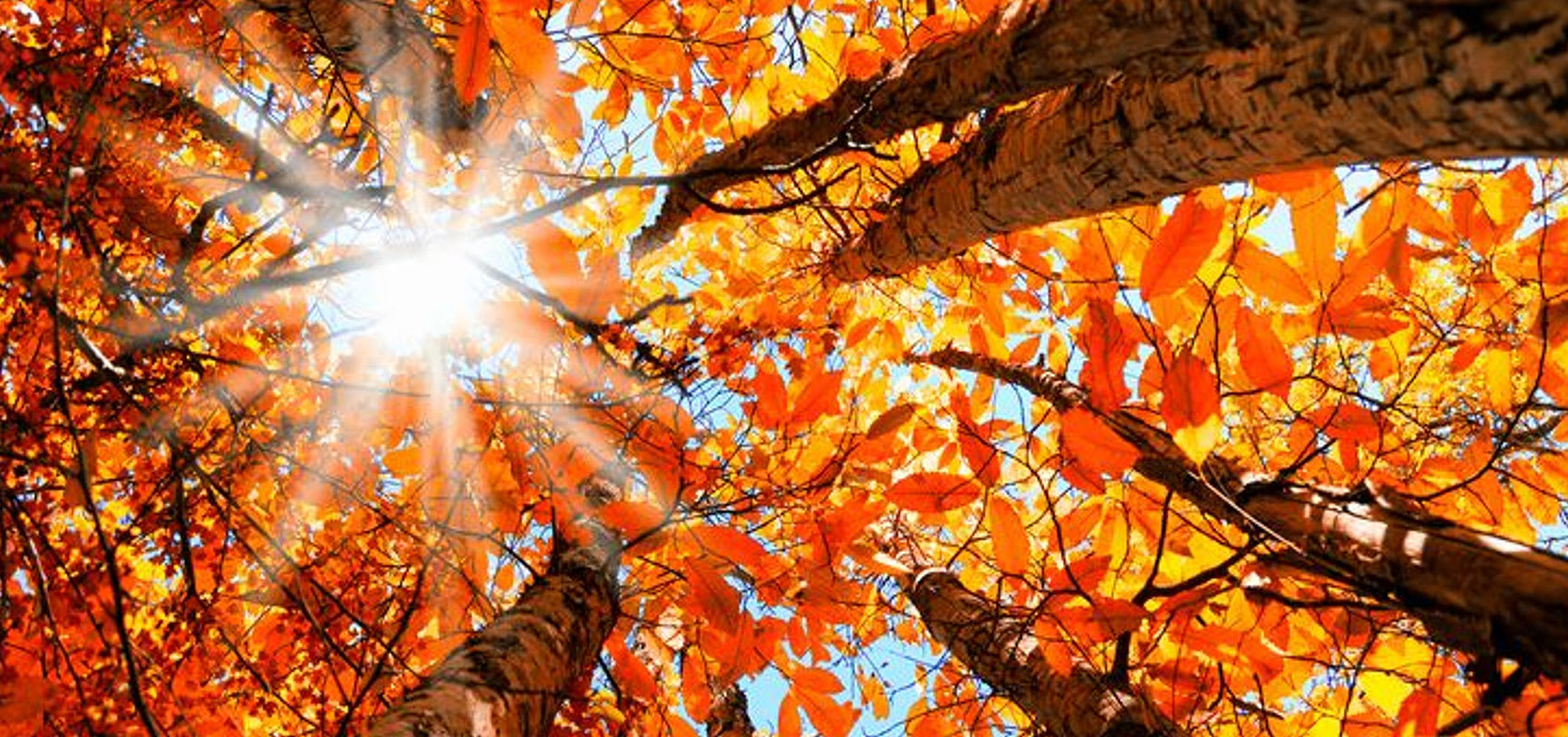It pays to stick around through the shoulder season Image