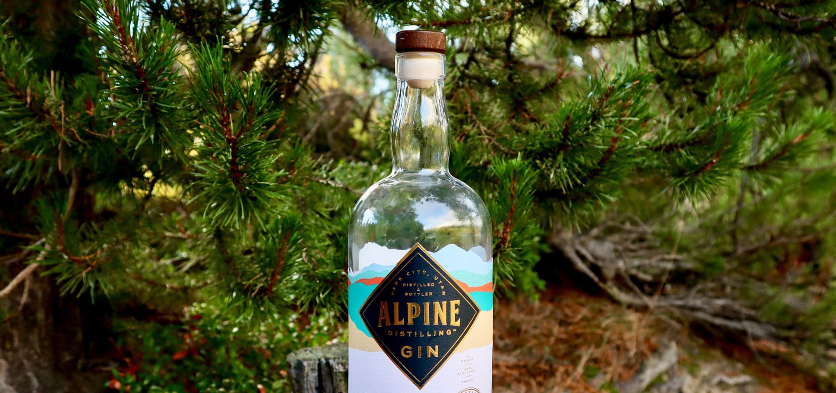 Alpine Distilling wins USA TODAY 10Best Readers Choice Award Image