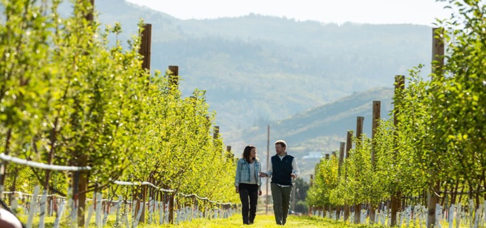 Dendric Estate reveals name of debut Cider: Dry Cut Image
