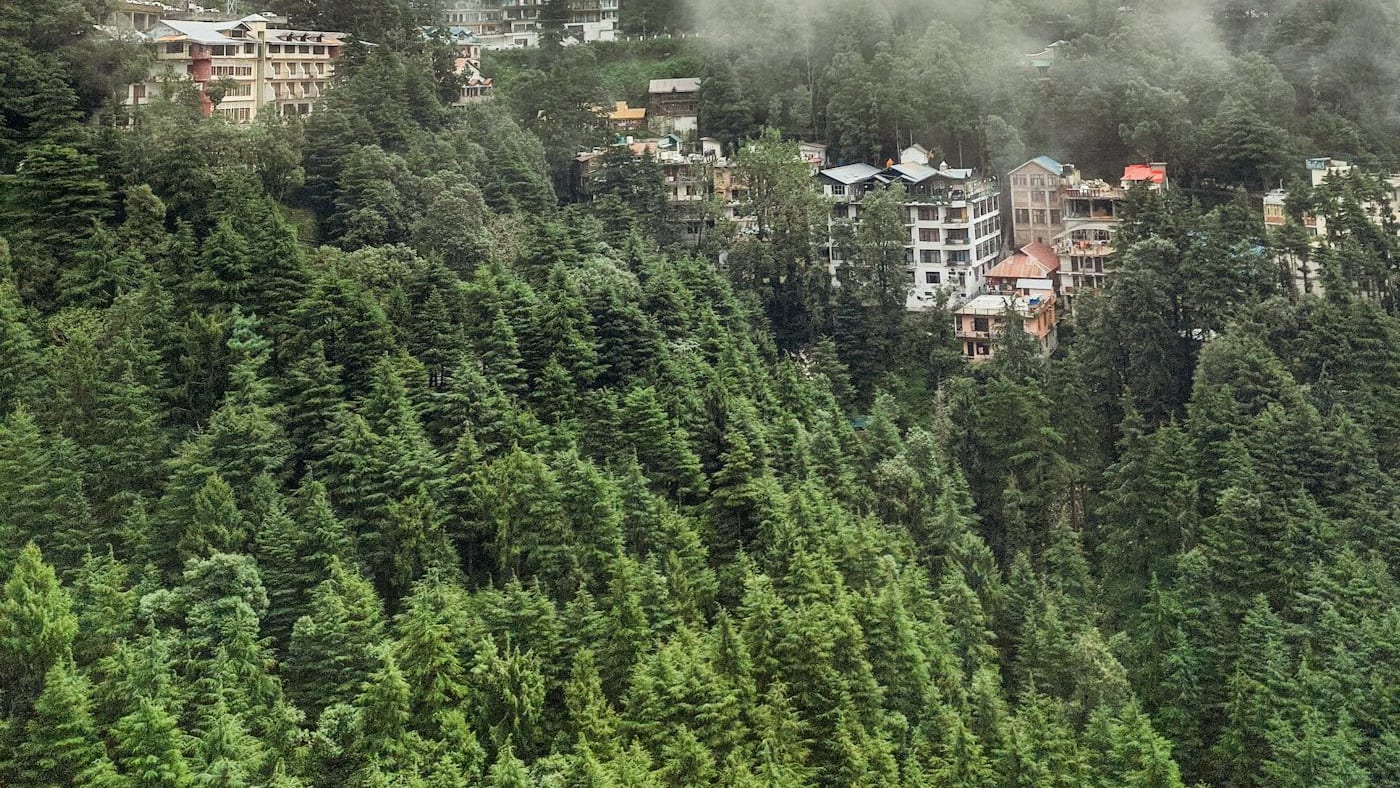 Himachal Valleys & Golden Temple Package