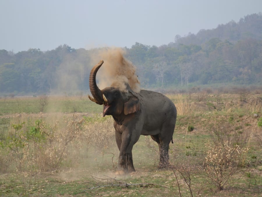 Kumaon Escape Tour Package