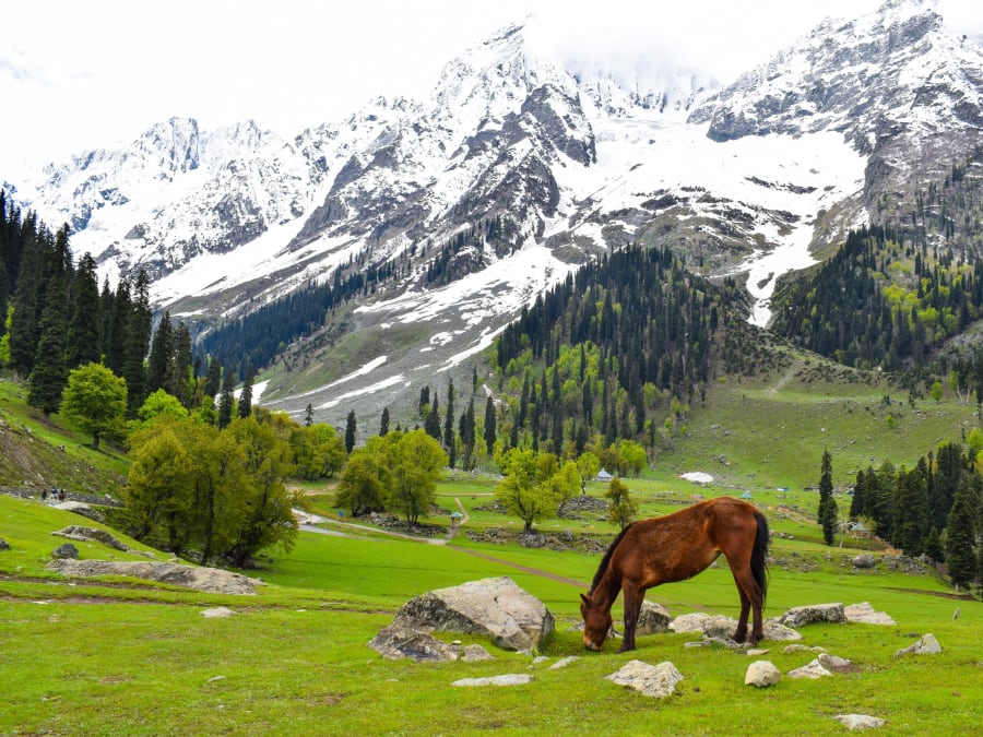 Pocket Kashmir Tour Package from Jammu