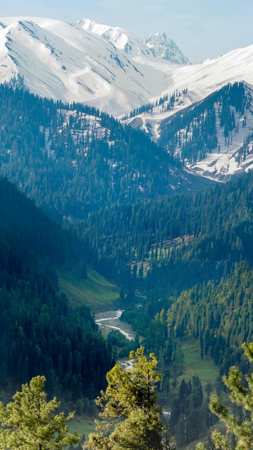 Gulmarg