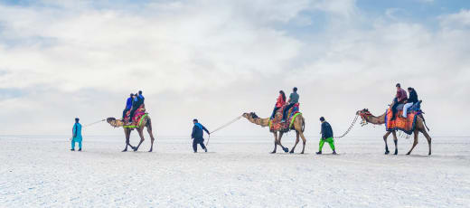 Rann of Kutch