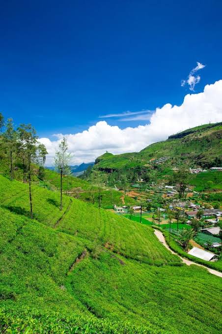 Uttarkashi