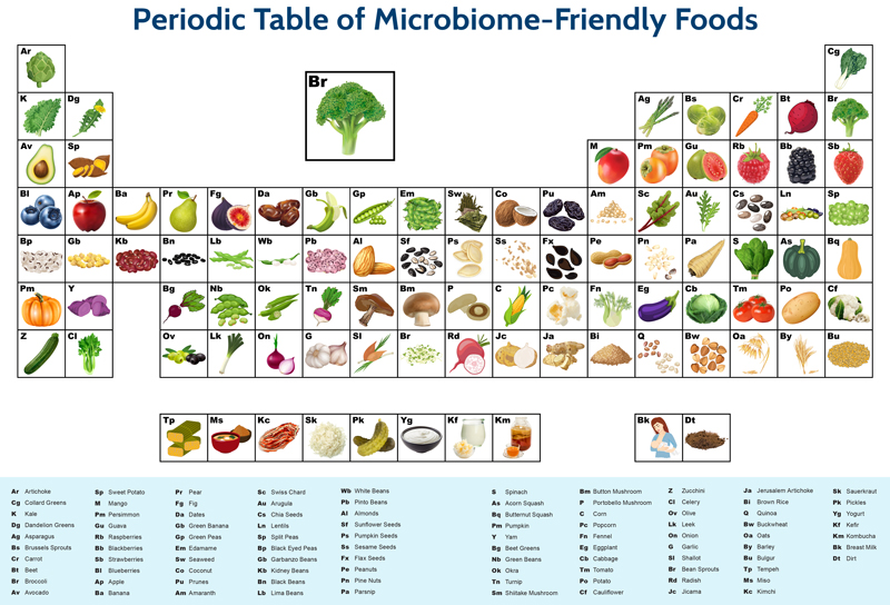 Microbiome Friendly Foods Prostate Cancer Foundation