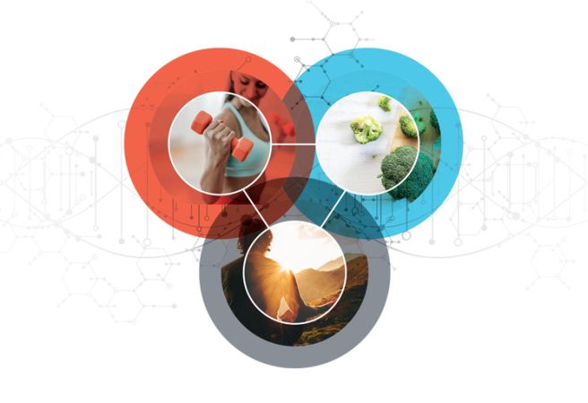 Prostate Cancer Foundation