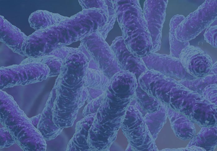 Prostate Cancer Foundation