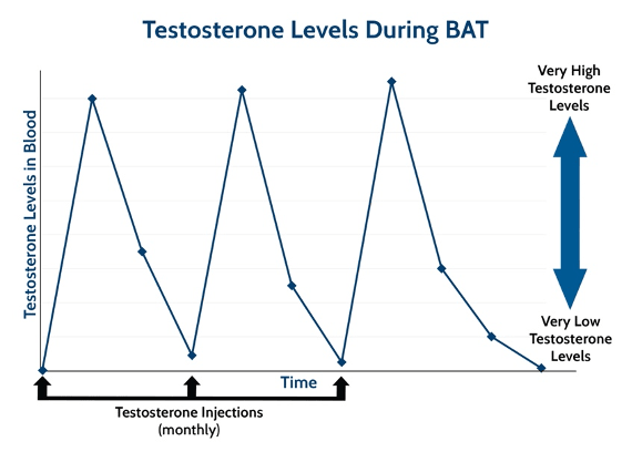 Testosterone Levels During BAT