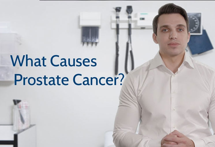 What Causes Prostate Cancer? Prostate Cancer Foundation