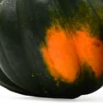 Acorn Squash