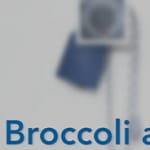 Broccoli and Prostate Cancer