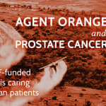 Agent Orange and Prostate Cancer