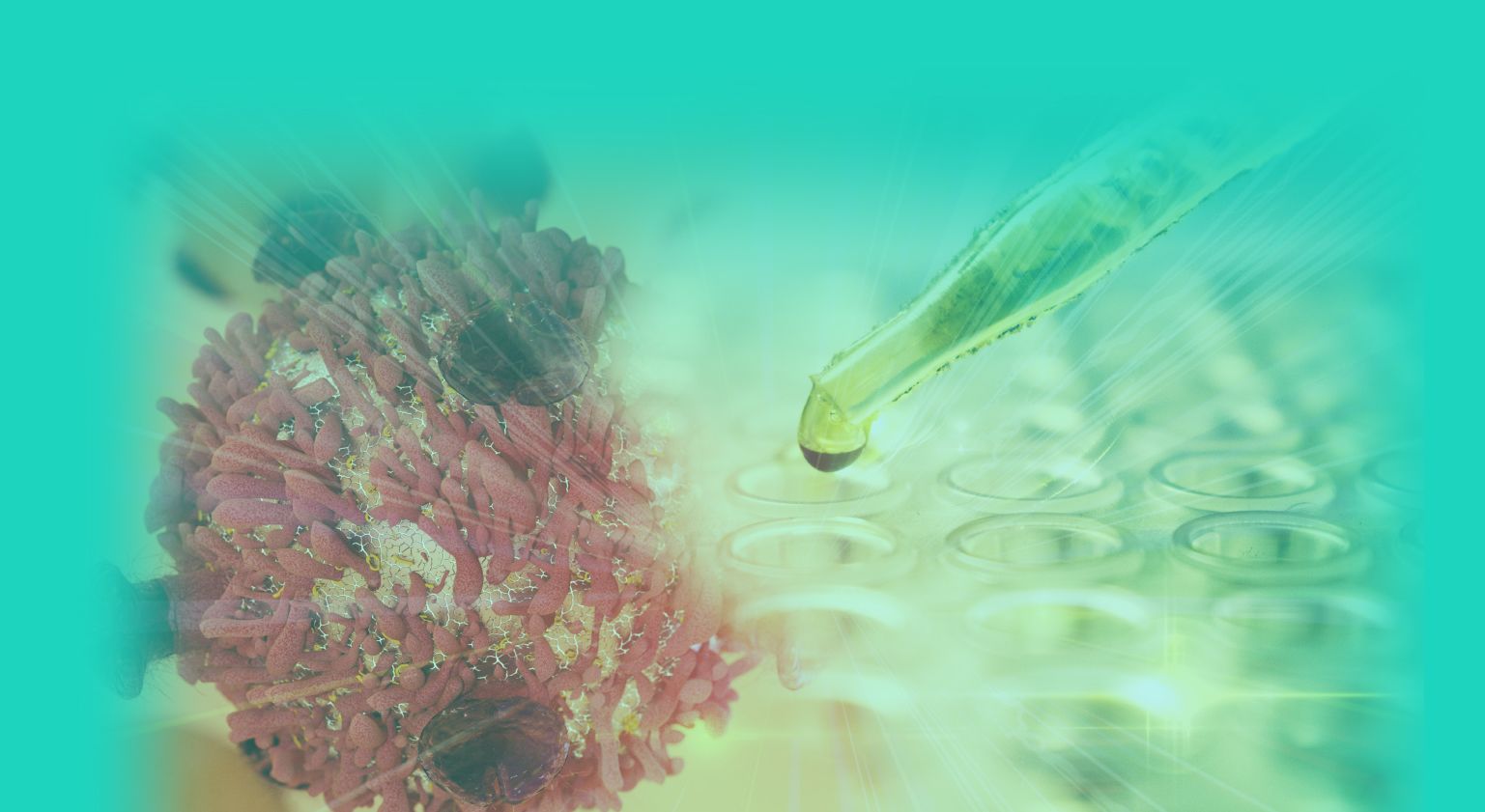 New Drug Hope for Prostate Cancer Patients