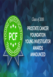 Young Investigator Award-Class of 2018