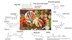 The Complex, Natural Biochemistry of a Healthy Diet