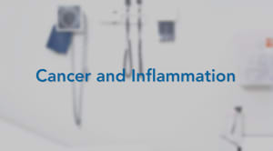 Text: Cancer and Inflammation