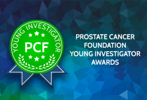 Young Investigator Awards