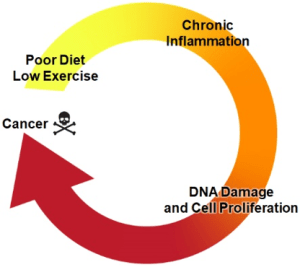 infographic