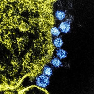 Coronavirus