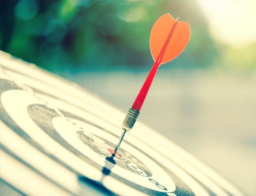 Bulls Eye Dart Target