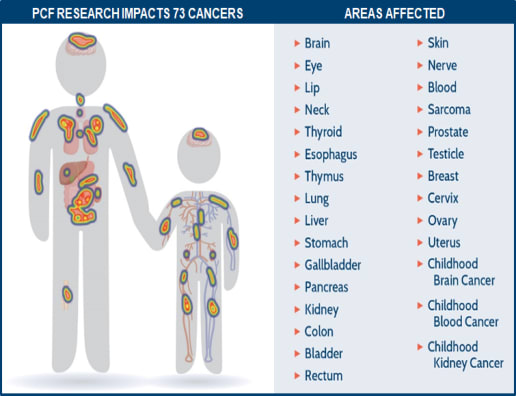 73 Human Cancers with Shared Genomic Rx Targets