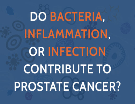 Infection and Prostate Cancer