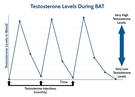 Testosterone Levels During BAT