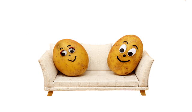 couch-potatoes-3127025_640
