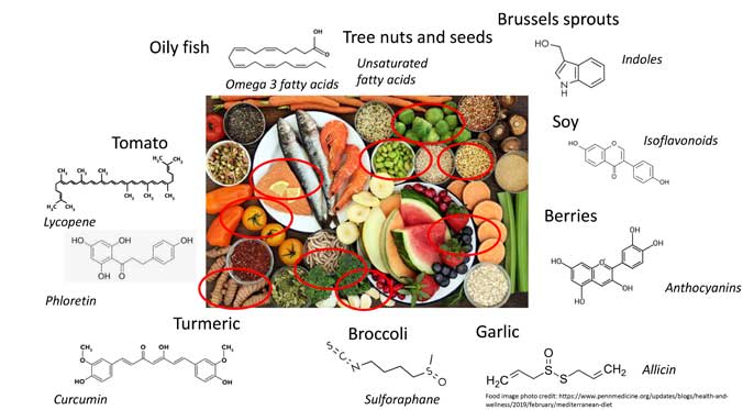 The Complex, Natural Biochemistry of a Healthy Diet