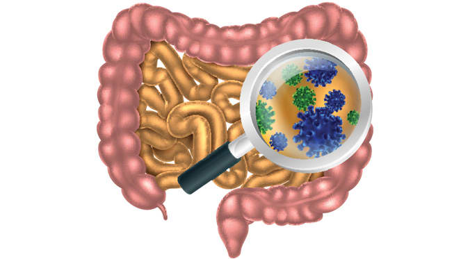 Gut_bacteria_676x373