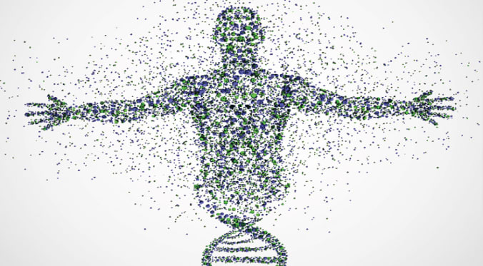 DNA-MAN-Banner_745x510