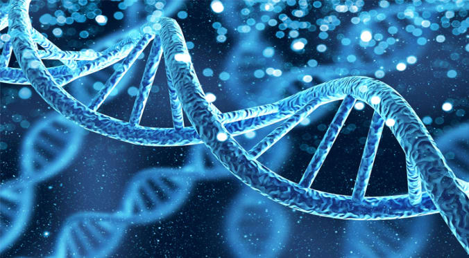 DNA-zoomed-Banner_745x510