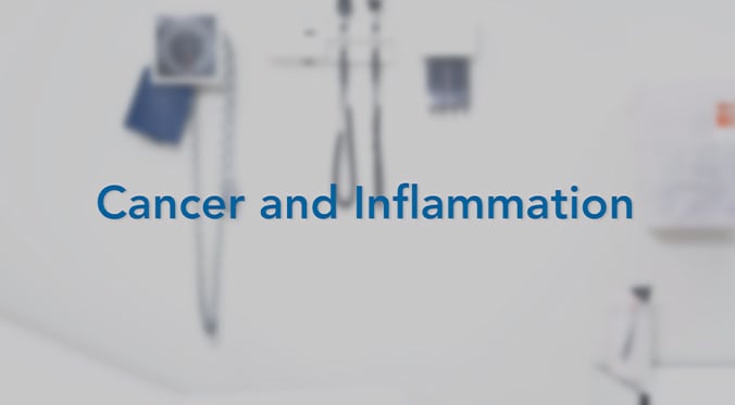 cancer and inflammation blog featured image