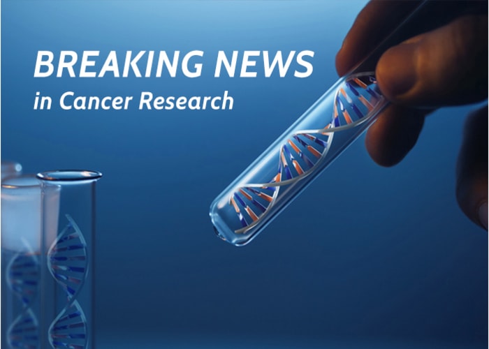 prostate cancer research foundation