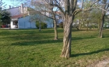 Terreno edificabile Terreno edificabile