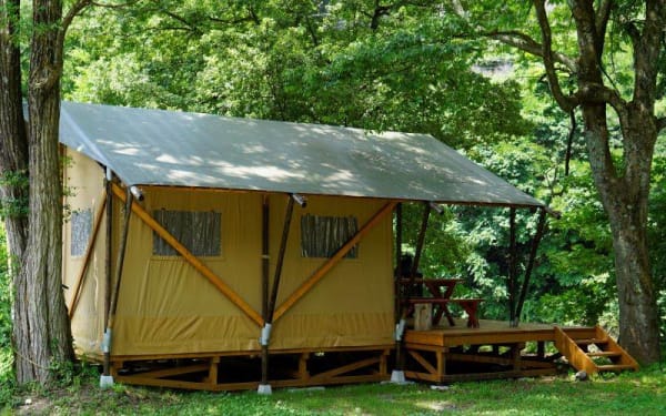 サバンナ グランピング