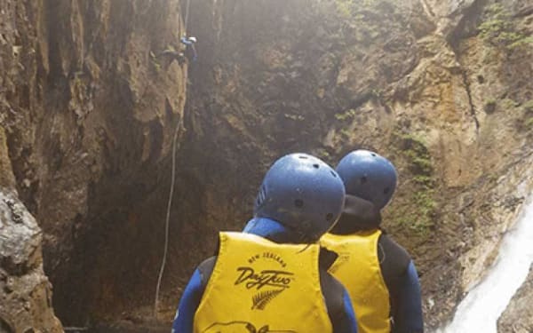 フォックスプラス