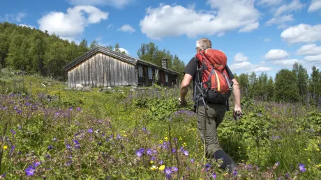 Vandretur i Espedalen