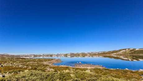 Vandringer p Hardangervidda og Hallingskarvet