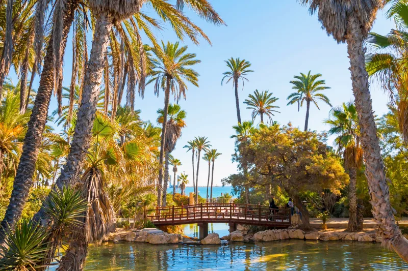 Palmeparken El Palmeral