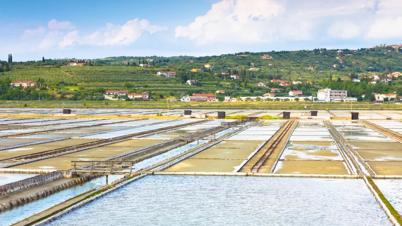 Naturparken Sečovlje Salina