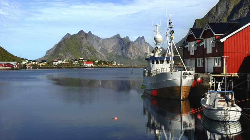 Heldagstur i Lofoten. Opplev fiskevrene , Reine og Sund