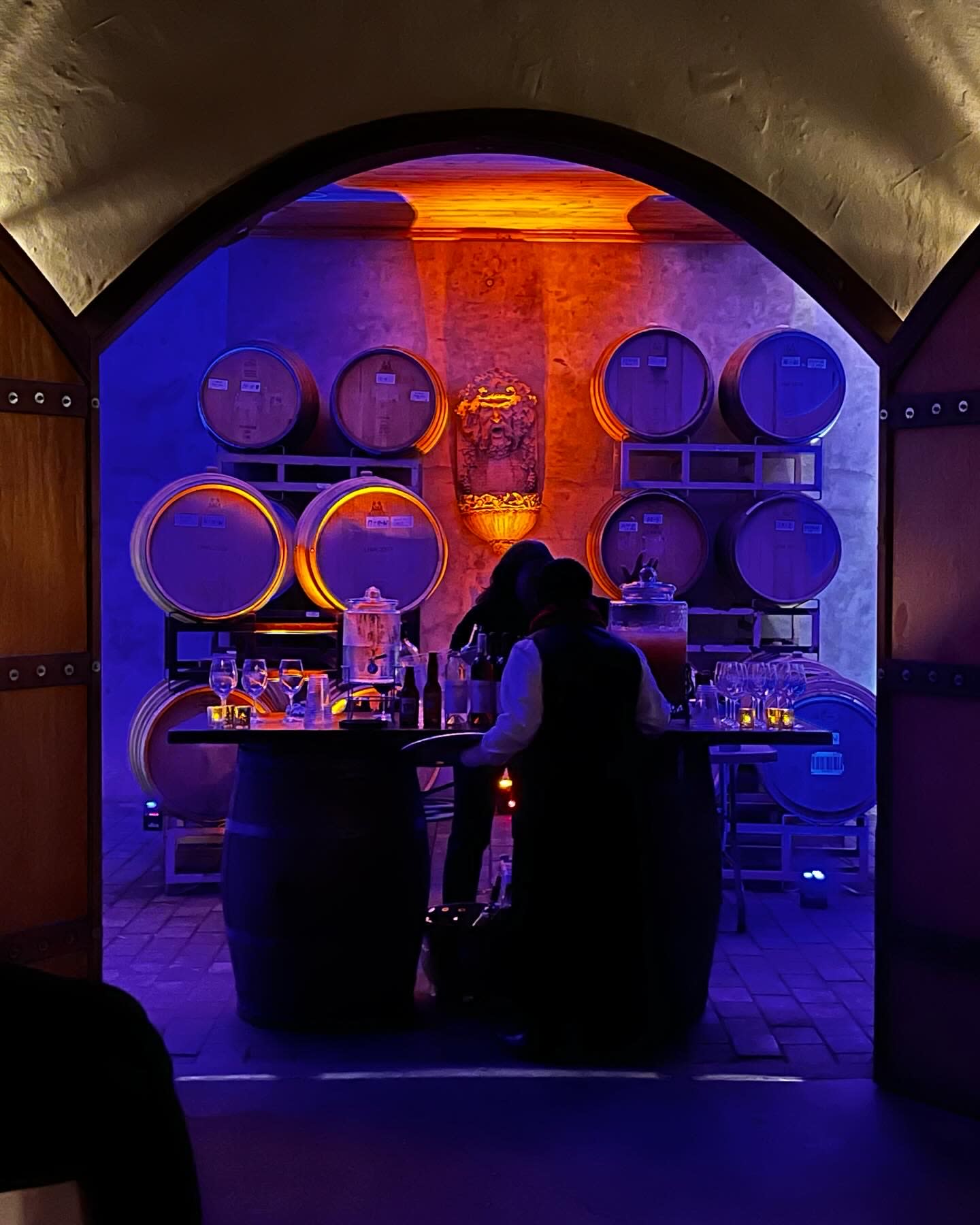A rustic wooden bar with a stone archway displays various wine bottles and decorative plants against a backdrop of warm lighting.