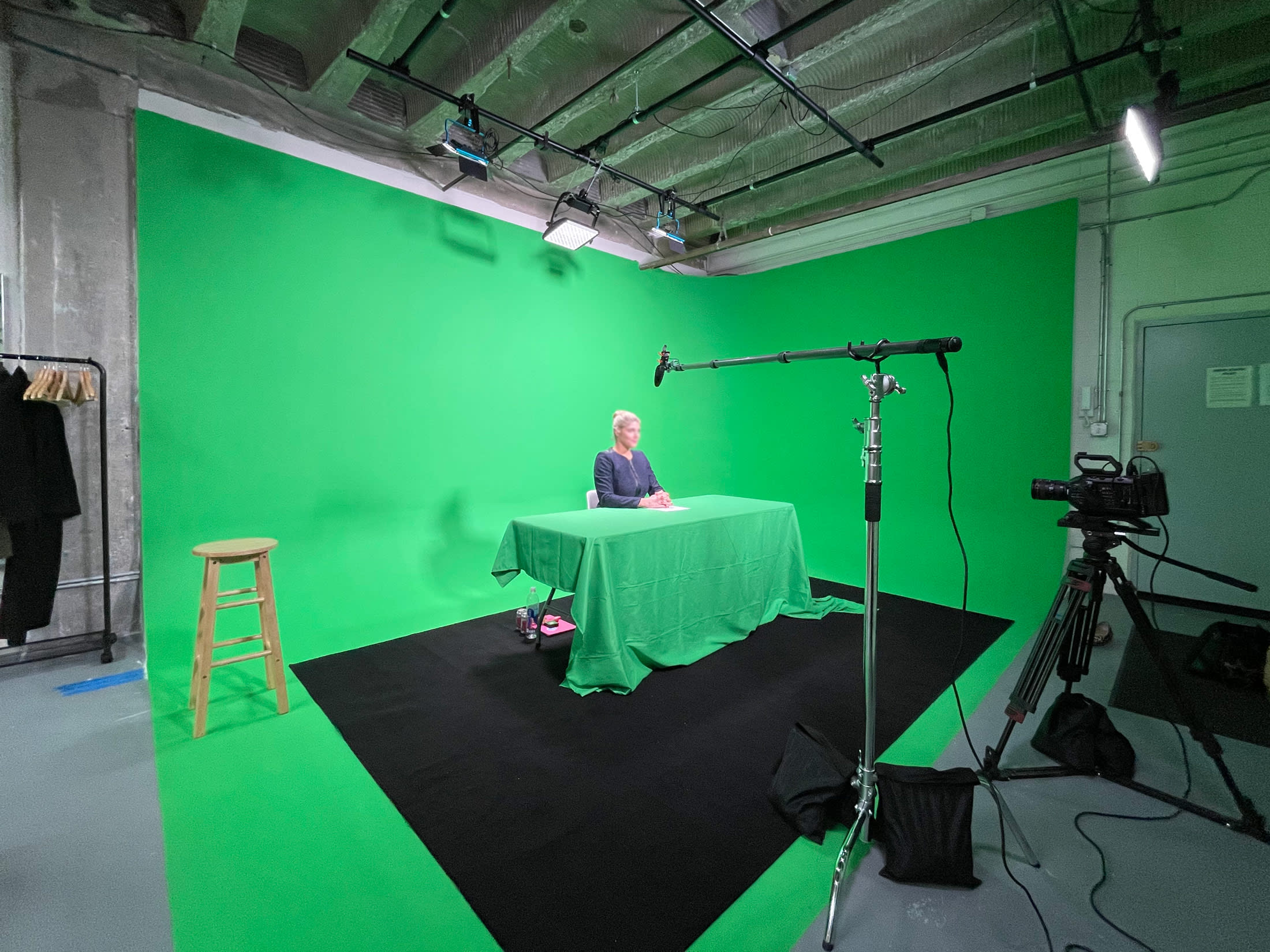 A black French Bulldog sits against a green screen backdrop during a video shoot.